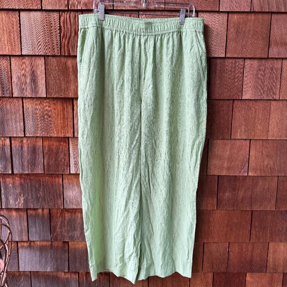 NWT Madewell Green Crinkle Fabric Elastic Waist Straight Pants - Women's X-Large - Picture 1 of 10